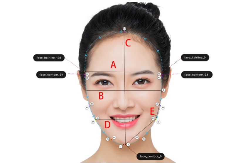 Men's Face Structure Diagram