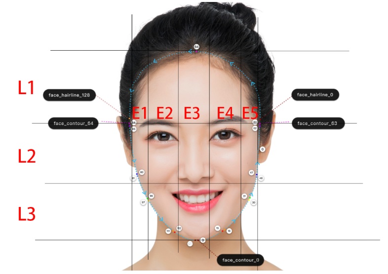 Three Sections of Face
